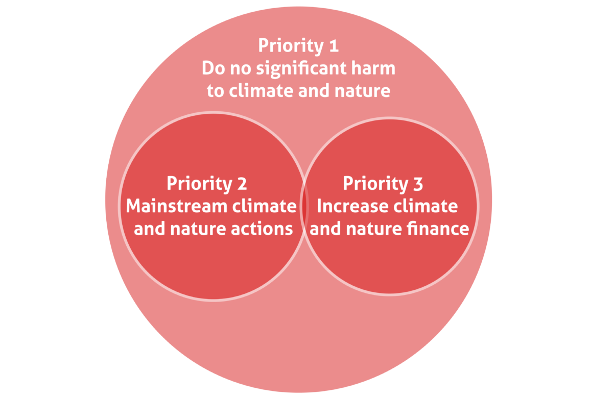 Climate Strategy