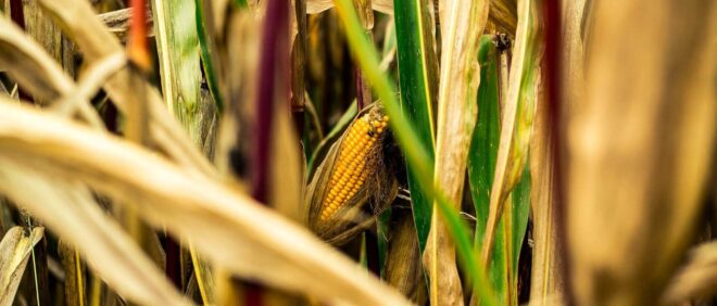 Agroserv Industrie SA